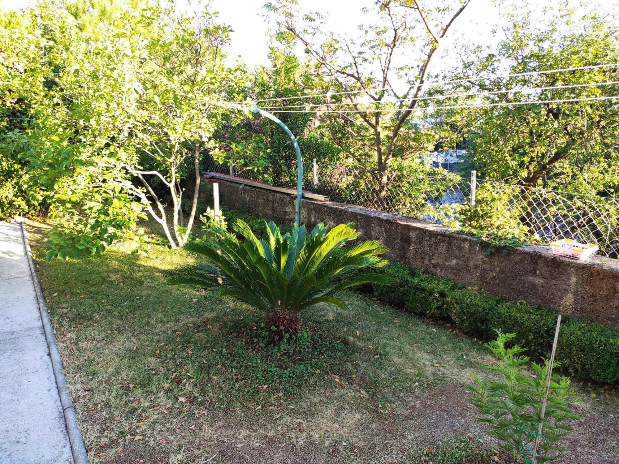 קריקווניצה Apartment With Private Garden And The Terrace Ev Station Available מראה חיצוני תמונה
